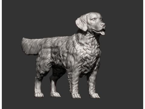 Golden retriever 3Dプリントモデル
