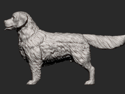 Golden retriever 3Dプリントモデル