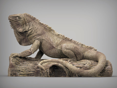 Iguana on log 3D Print Model