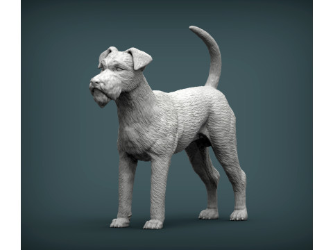 Irish Terrier 3Dプリントモデル