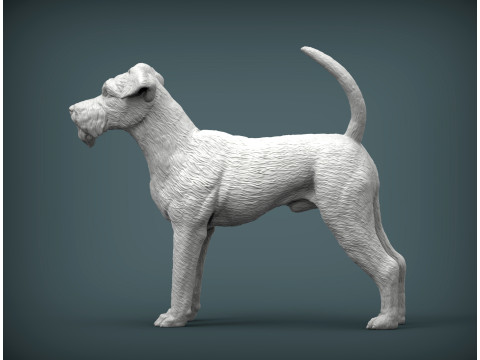 Irish Terrier 3Dプリントモデル