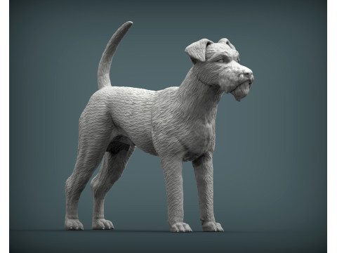Irish Terrier 3Dプリントモデル