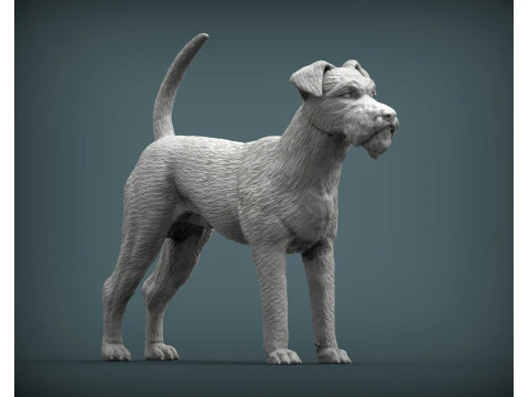 Irish Terrier 3D Print Model
