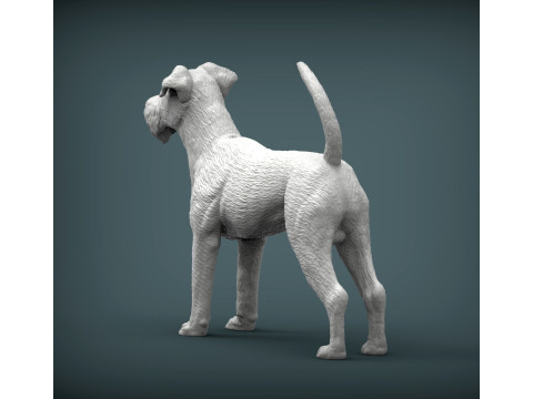 Irish Terrier 3Dプリントモデル