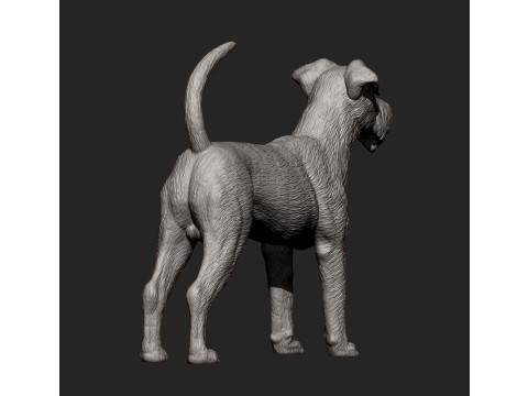 Irish Terrier 3Dプリントモデル