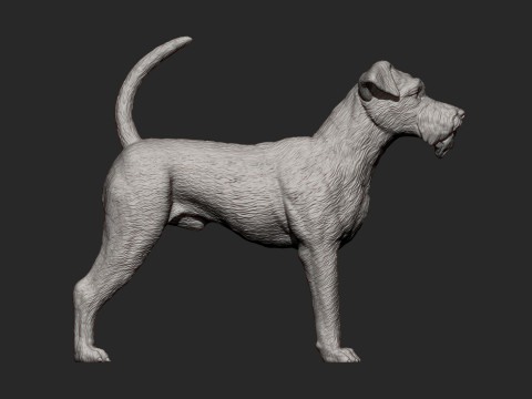 Irish Terrier 3Dプリントモデル