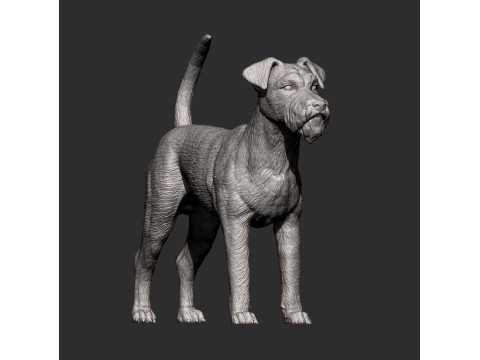 Irish Terrier 3Dプリントモデル