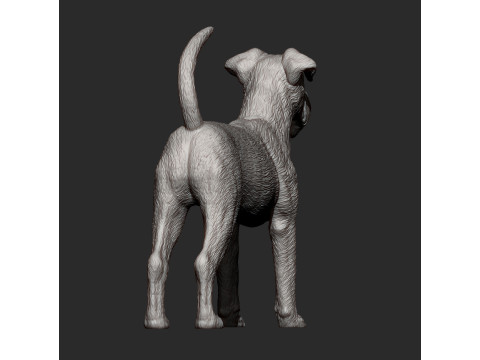 Irish Terrier 3Dプリントモデル