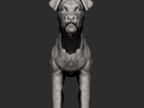 Irish Terrier 3Dプリントモデル
