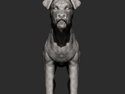 Irish Terrier 3D Print Model