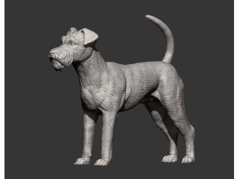 Irish Terrier 3Dプリントモデル
