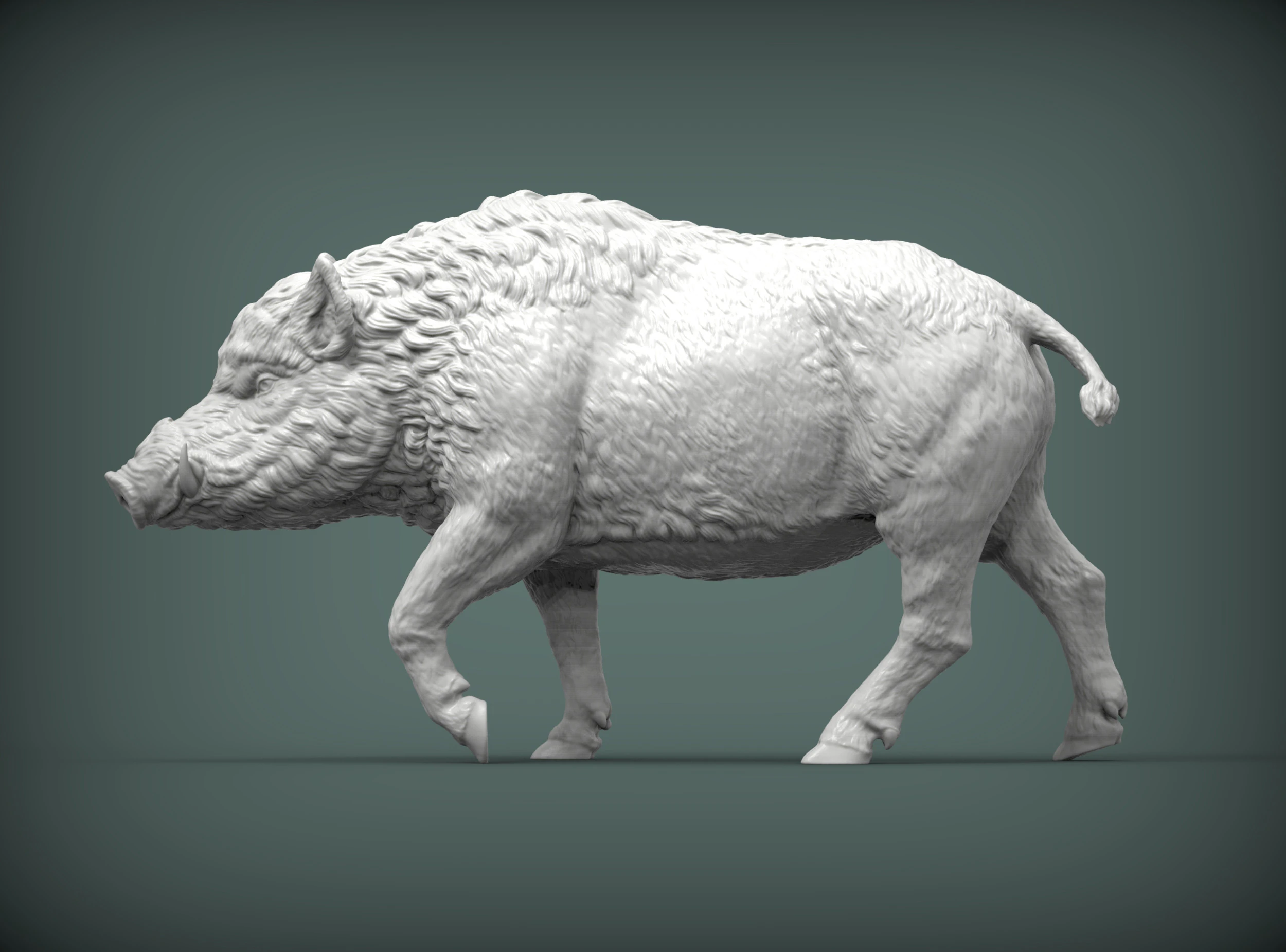A wild boar 3D Print Model .c4d .max .obj .3ds .fbx .stl .blend 