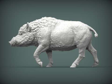A wild boar Modelo de Impressão 3D