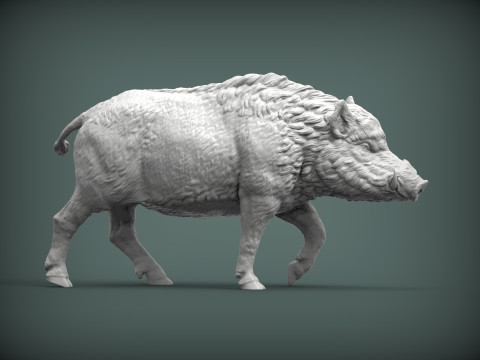 A wild boar 3D-Druckmodell
