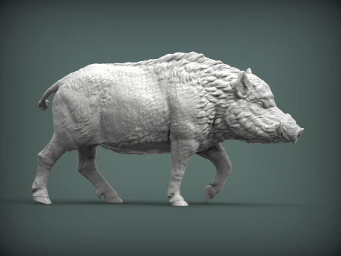 A wild boar 3D Print Model