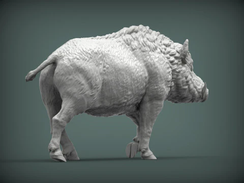 A wild boar 3D Print Model