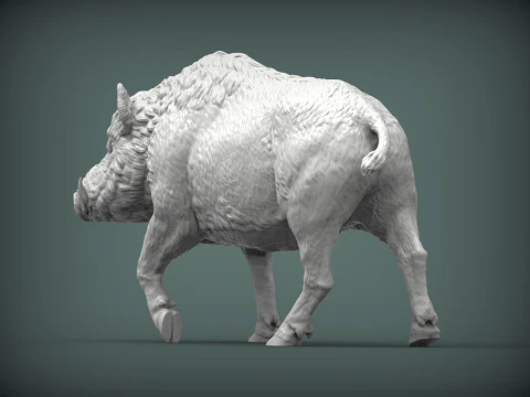 A wild boar 3D Print Model