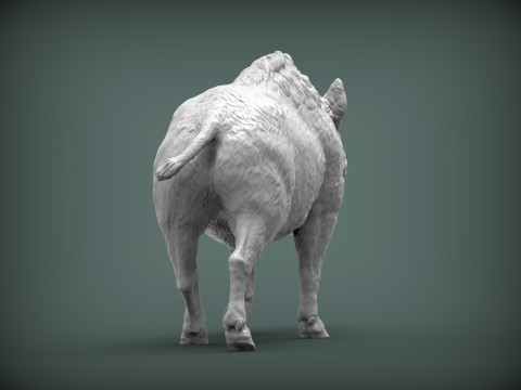 A wild boar 3D-Druckmodell