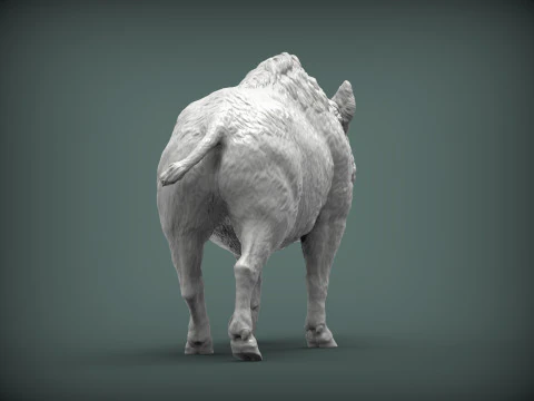 A wild boar 3D Print Model