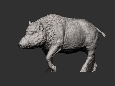 A wild boar 3D-Druckmodell