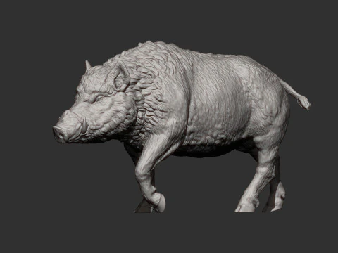 A wild boar 3D Print Model