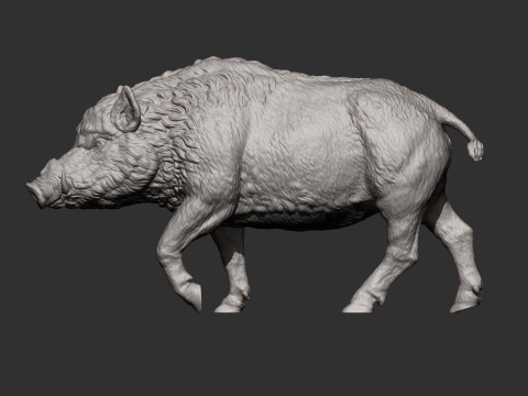 A wild boar 3D-Druckmodell