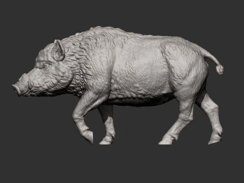 A wild boar 3D Print Model