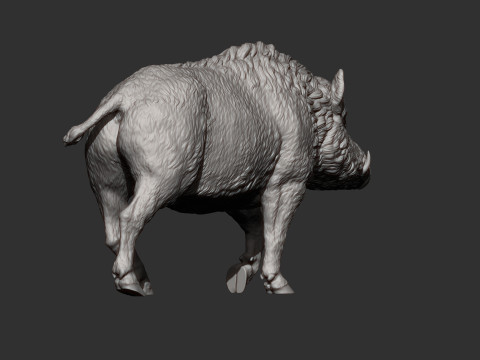 A wild boar 3D-Druckmodell