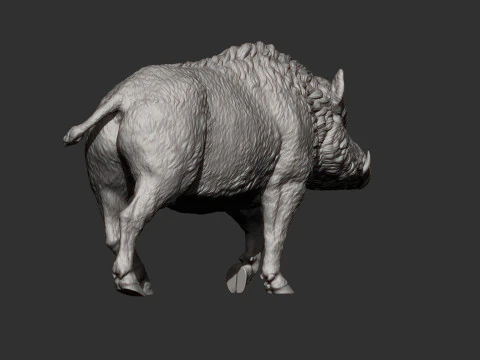 A wild boar 3D Print Model