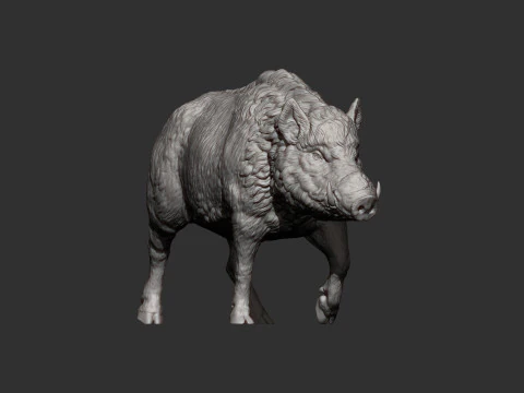A wild boar 3D Print Model