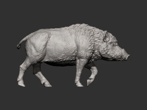 A wild boar 3D Print Model