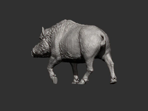 A wild boar 3D Print Model