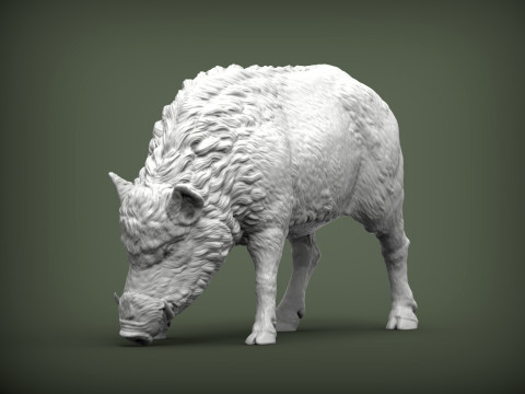 Boar 3D print model wild 3D Print Model
