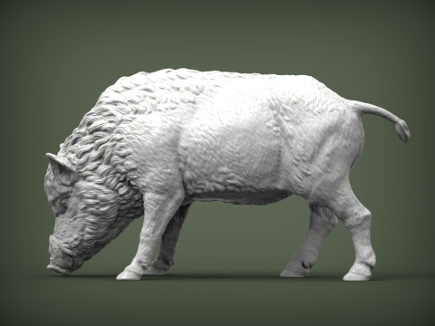 Boar 3D print model wild 3D Принт Модель