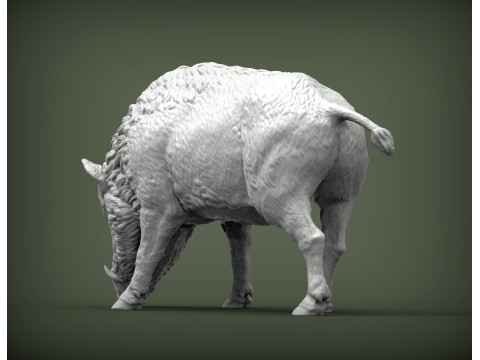 Boar 3D print model wild 3D Принт Модель