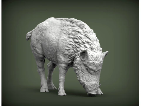 Boar 3D print model wild 3D Print Model