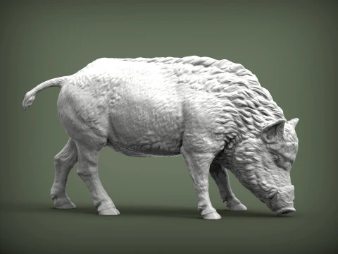 Boar 3D print model wild 3D Print Model
