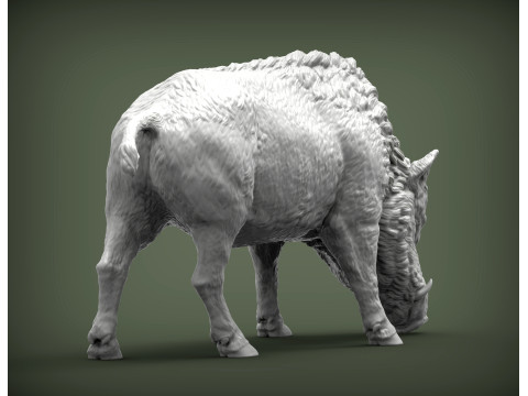Boar 3D print model wild 3D Принт Модель