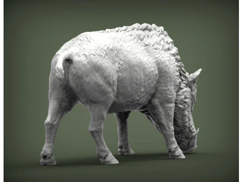 Boar 3D print model wild 3D Print Model