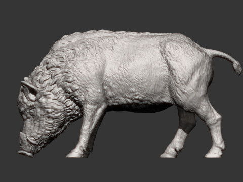Boar 3D print model wild 3D Принт Модель
