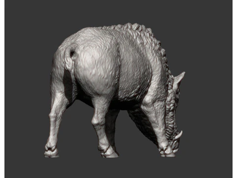 Boar 3D print model wild 3D Print Model