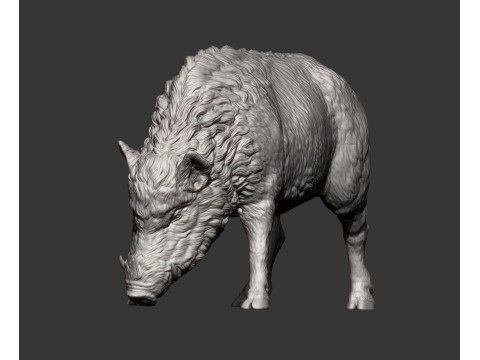 Boar 3D print model wild 3D Принт Модель