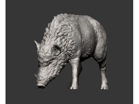 Boar 3D print model wild 3D Print Model
