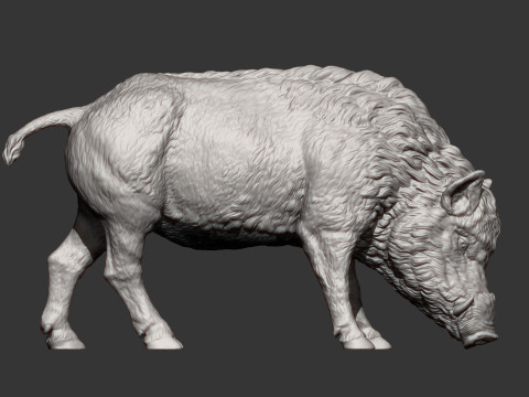 Boar 3D print model wild 3D Принт Модель