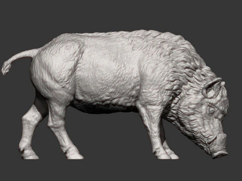 Boar 3D print model wild 3D Print Model