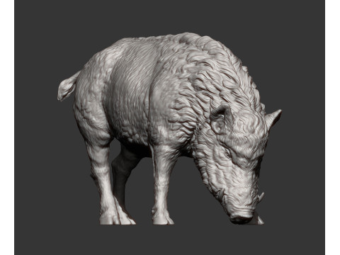 Boar 3D print model wild 3D Принт Модель