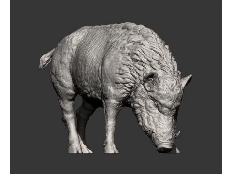 Boar 3D print model wild 3D Print Model