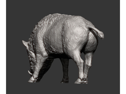 Boar 3D print model wild 3D Принт Модель