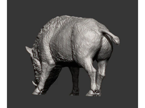 Boar 3D print model wild 3D Print Model