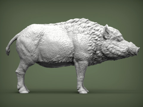 Boar 3D print model wild 3D Print Model